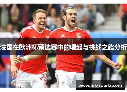 法国在欧洲杯预选赛中的崛起与挑战之路分析